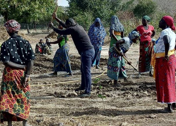 𝐒𝐮𝐢𝐯𝐢 𝐝𝐞𝐬 𝐚𝐜𝐭𝐢𝐯𝐢𝐭𝐞́𝐬 : 𝐊𝐨𝐚𝐥𝐚 𝐞𝐭 𝐋𝐨𝐮𝐦𝐛𝐢𝐥𝐚 𝐞𝐧𝐠𝐚𝐠𝐞́𝐬 𝐝𝐚𝐧𝐬 𝐥𝐚 𝐭𝐫𝐚𝐧𝐬𝐟𝐨𝐫𝐦𝐚𝐭𝐢𝐨𝐧 𝐚𝐠𝐫𝐢𝐜𝐨𝐥𝐞.